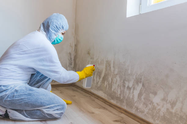 Crawl Space Mold Remediation treatment of floor joists in Immokalee
